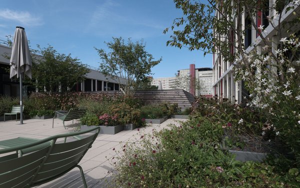 Lesegarten der Teilbibliothek Medizin auf dem Dach des neuen Lehrgebäudes Medizin