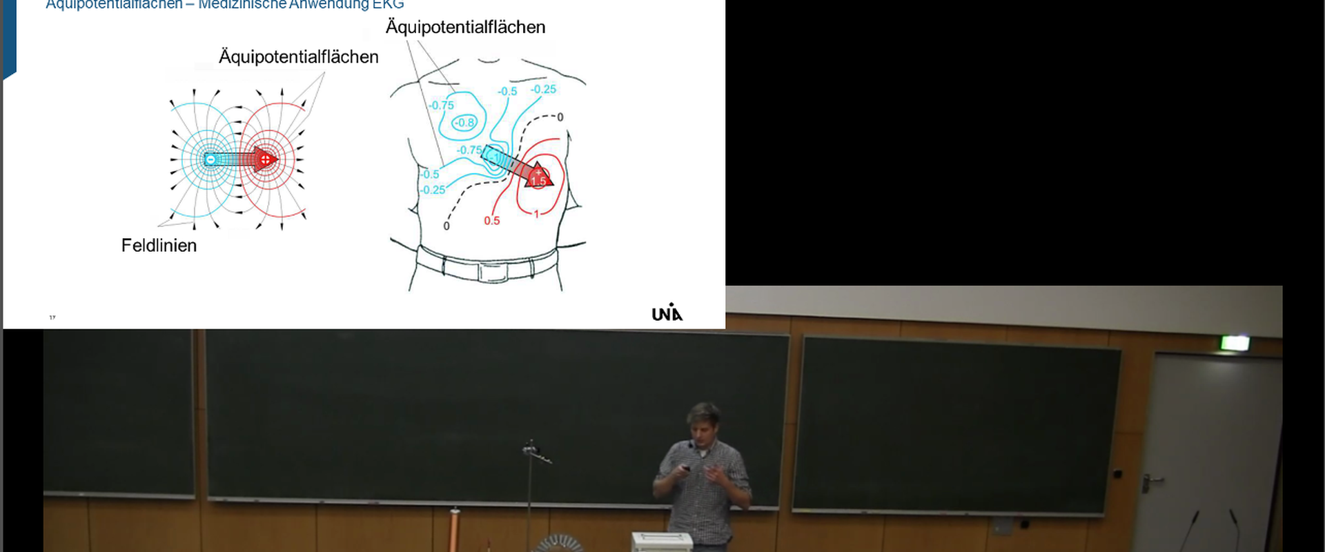 Äquipotentiallinien EKG