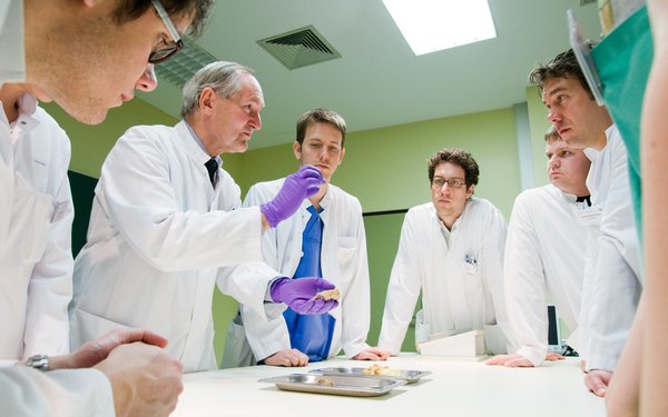 Medizinstudierende stehen an einem Tisch mit Gewebeproben während ein Arzt erklärt