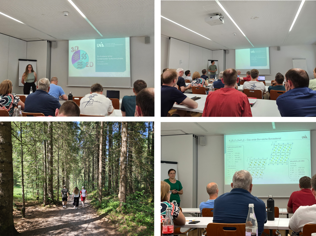 Hirschegg Seminar 2025