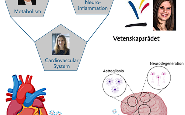 Neues Internationales Postdoc-Stipendium