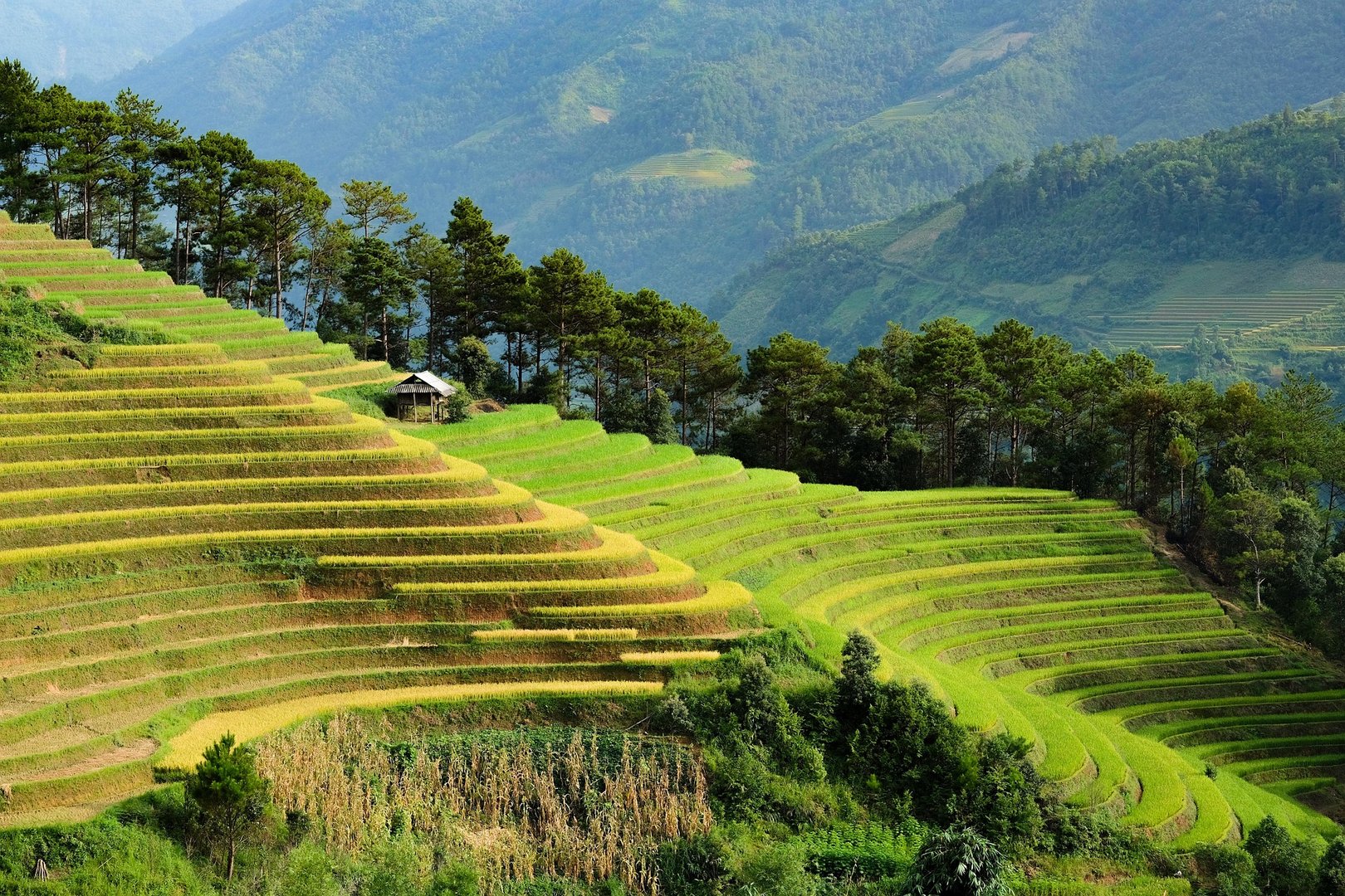Folge 2: Vietnam als Volltreffer (Staffel 2)