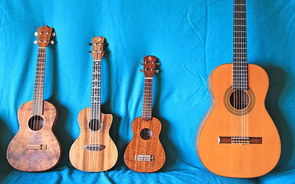 3 Ukulelen und eine Gitarre