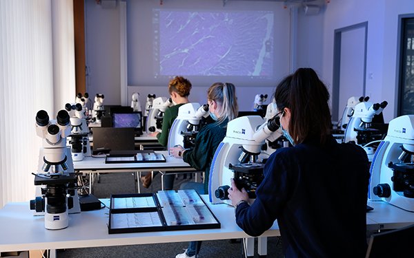 Medizinstudierende arbeiten im Labor an Mikroskopen