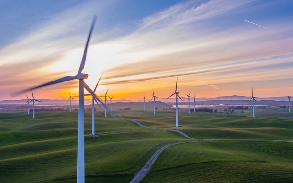 Windräder auf einer grünen Wiese