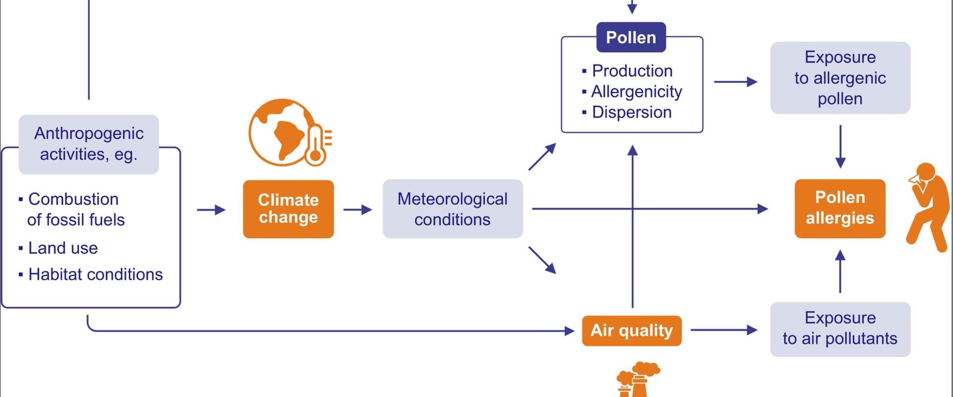 Studie Allergie und Klimawandel