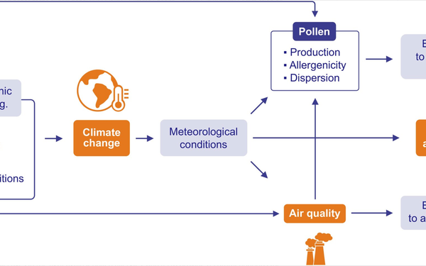 Studie Allergie und Klimawandel