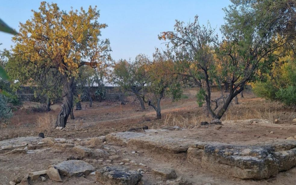 Koll_KArch_WiSe25-26_Area_Sacra