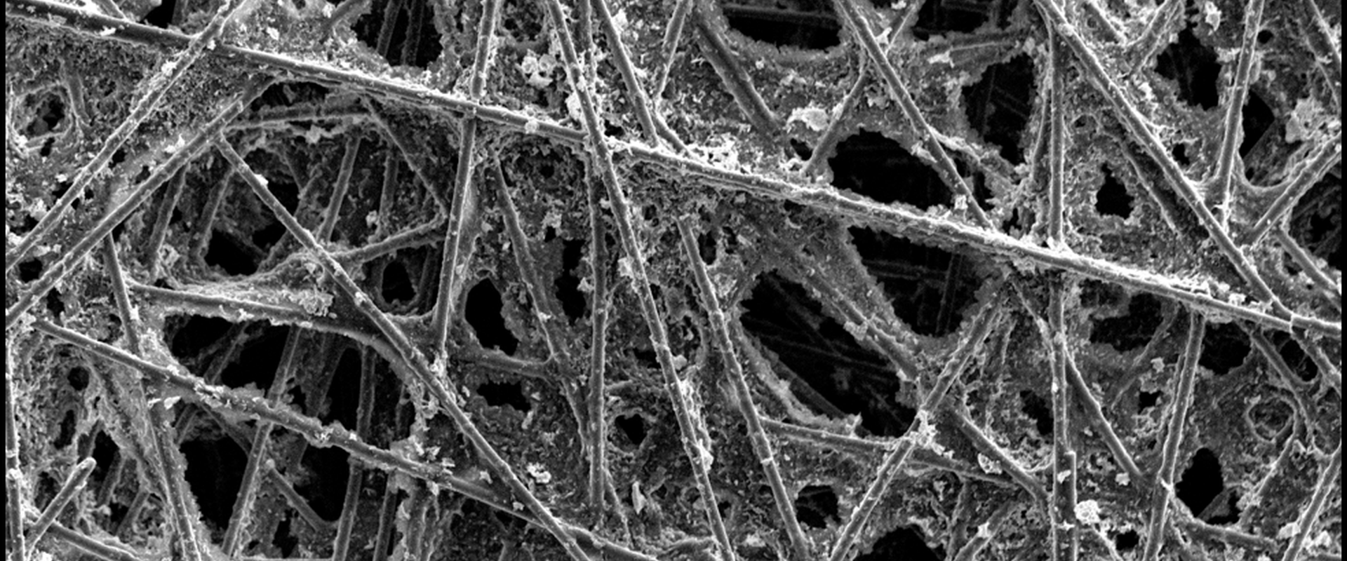 REM-Aufnahme eines katalytisch beschichteten Kohlenstofffaservlieses